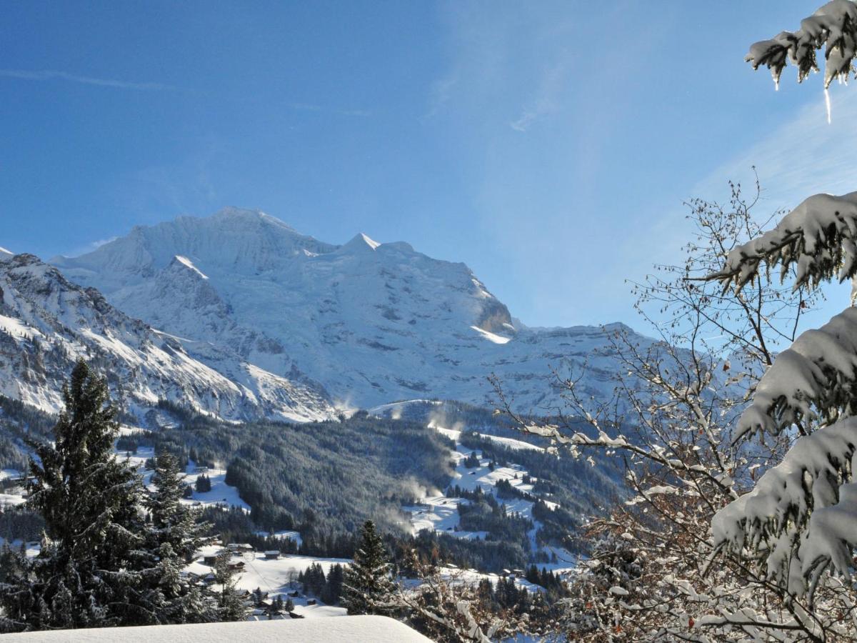 Apartment Breithorn-Residence-2 By Interhome Wengen Exterior photo